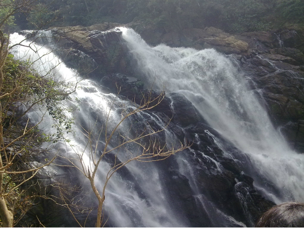 കോടമഞ്ഞില് മറയുന്ന മീന്മുട്ടി