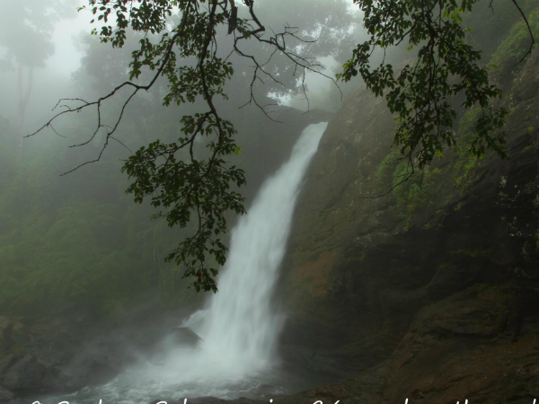 സൂചിപ്പാറ വെള്ളച്ചാട്ടം