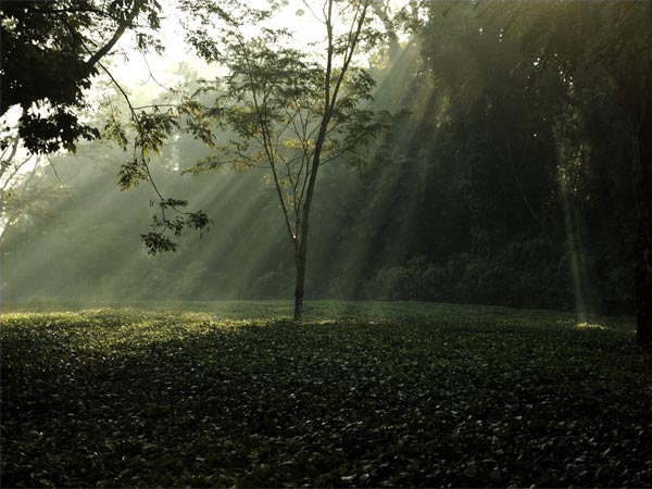 ആസ്സാം സന്ദര്ശിക്കാന്