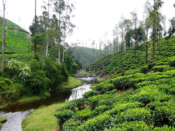 വാല്പ്പാറ