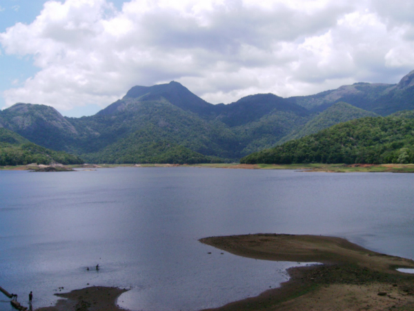 നെല്ലിയാമ്പതിയുടെ കവാടം