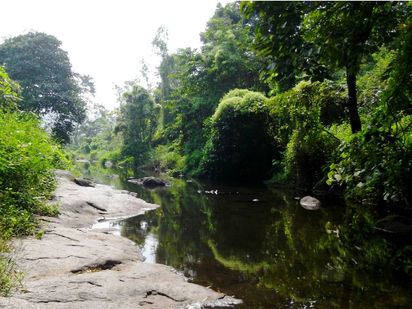 കാട്ടുവഴികളും പുഴകളും പിന്നിടുന്ന യാത്ര
