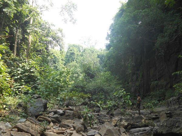 മരണത്തിന്റെ കാട്