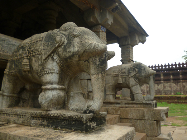 31 വര്ഷത്തിന്റെ ഫലം