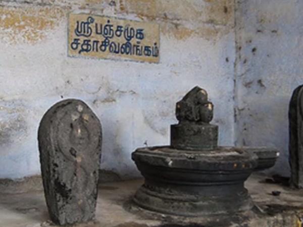 അത്ഭുത രുദ്രാക്ഷം