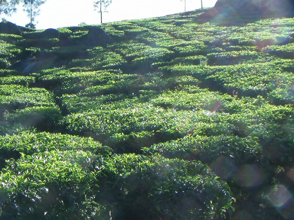 സ്പിതി