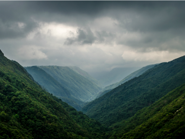 റിസേര്ച്ച്