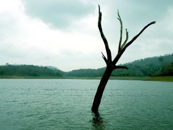 തേക്കടിയുടെ ഓണസമ്മാനം തേക്കടിയുടെ ഓണസമ്മാനം