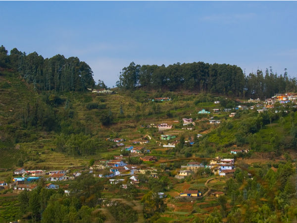 കെറ്റിവാലി