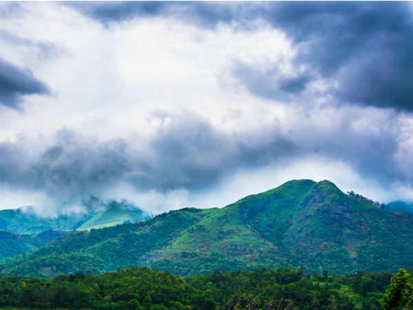 Updates on Wayanad Chembra Peak Trekking Updates on Wayanad Chembra Peak Trekking
