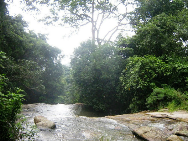 വാതില്ക്കലെ പെണ്കുട്ടിയും അര്ധരാത്രിയിലെ ബഹളങ്ങളും