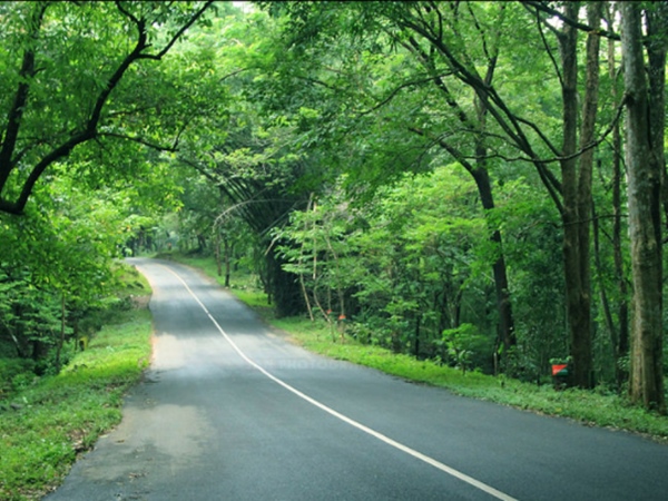 ആതിരപ്പള്ളി വനം