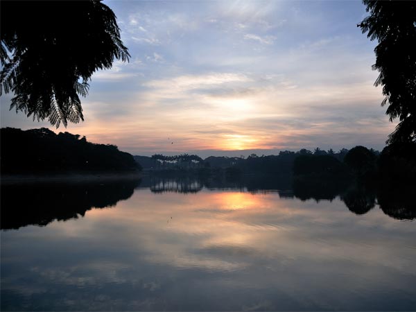 പൂന്തോട്ട നഗരത്തിലെ പുഷ്പമേള പൂന്തോട്ട നഗരത്തിലെ പുഷ്പമേള
