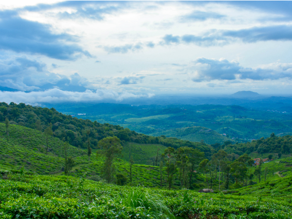 Updates on Wayanad Chembra Peak Trekking Updates on Wayanad Chembra Peak Trekking