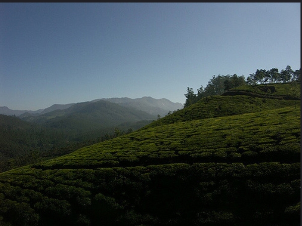 പാലം കടക്കുന്നതിനു മുന്പ്