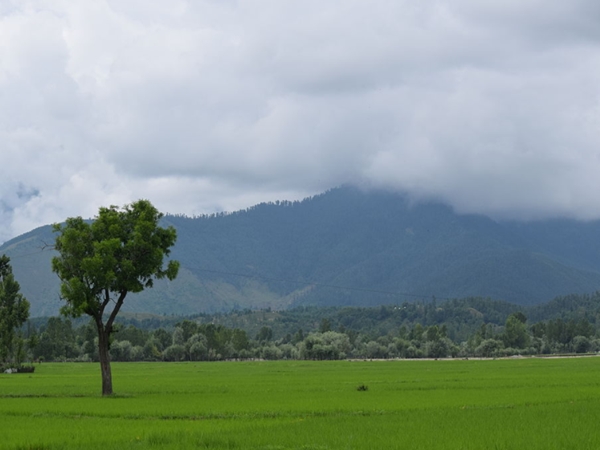 ലോലബ് വാലി