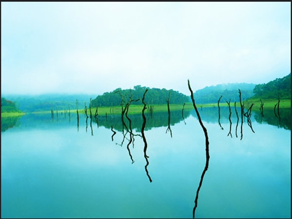 തേക്കടി