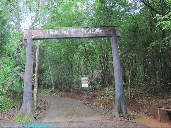 കാടിനുള്ളിലൂടെ