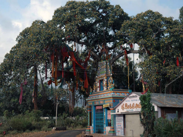 കുട്രാലനാഥര് ക്ഷേത്രം