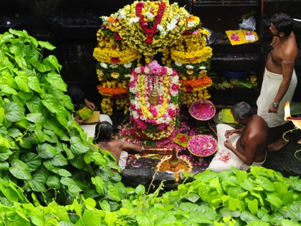 സരസ്സില് മറഞ്ഞിരിക്കുന്ന ദേവി