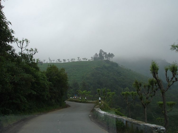 കോടമഞ്ഞിന്റെ നാട്