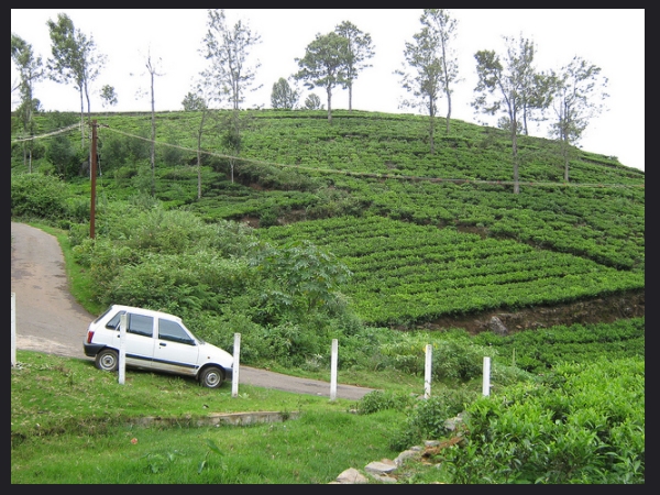 എപ്പോള് കാണണം?