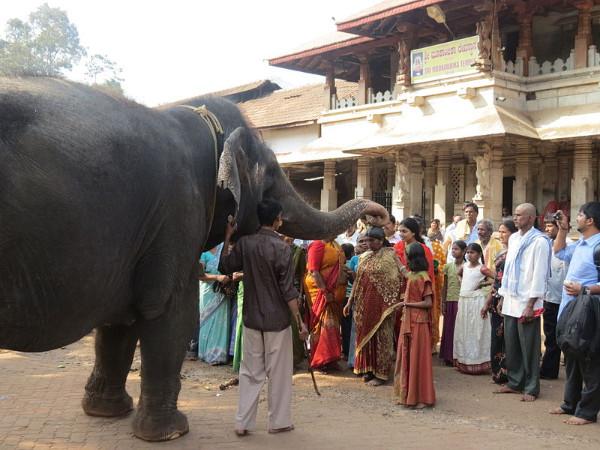 വിദ്യയില് ഒന്നാമനാകാന്