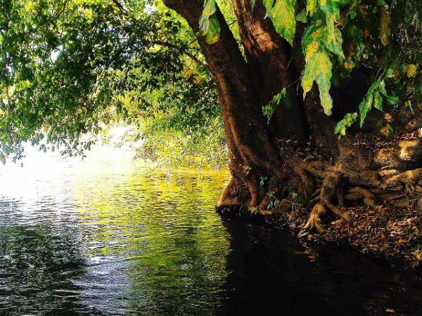 ഹന്കന് കര്ണ്ണാടക