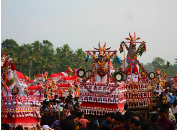 കാളവേല