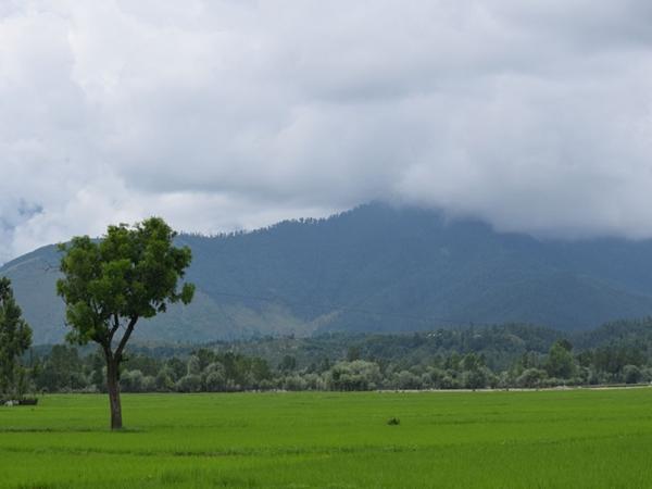 ലൊലാബ് വാലി