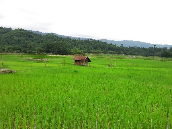 സിറോ
