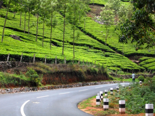 മൂന്നാര്