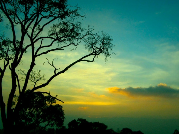 യേര്ക്കാട്