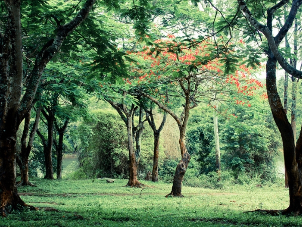 ഇന്ത്യന് സ്കോട്ലന്ഡായ കൂര്ഗ്