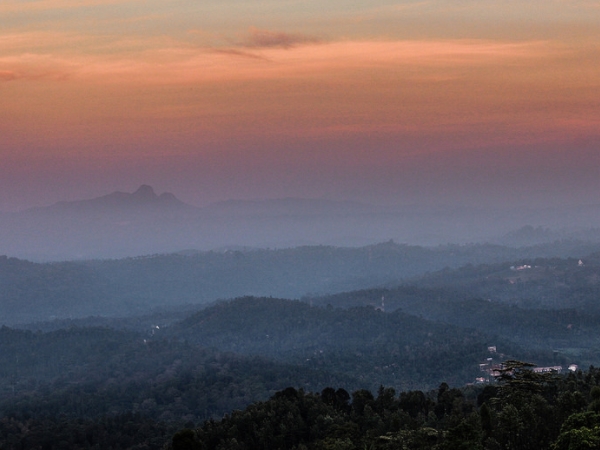 വയനാട്