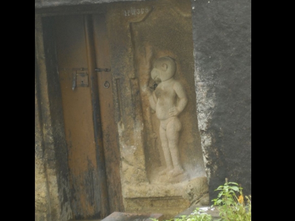 മറ്റു രൂപങ്ങള്