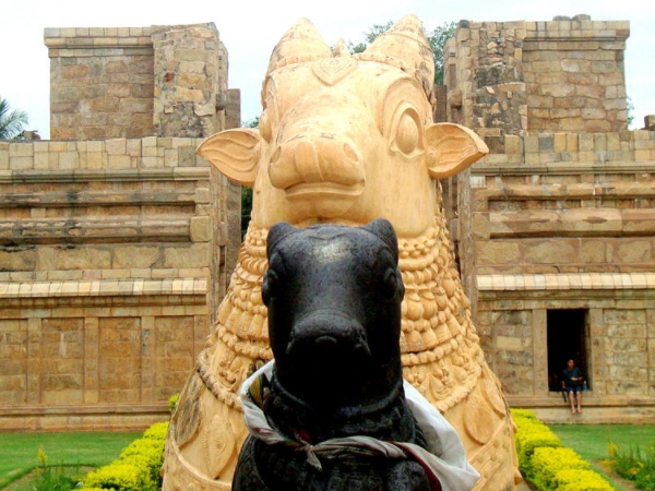 മഹാനന്ദി