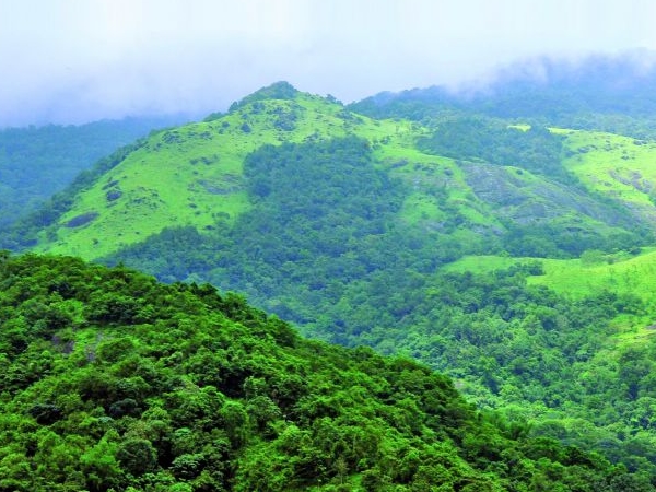 കക്കാടം പൊയില