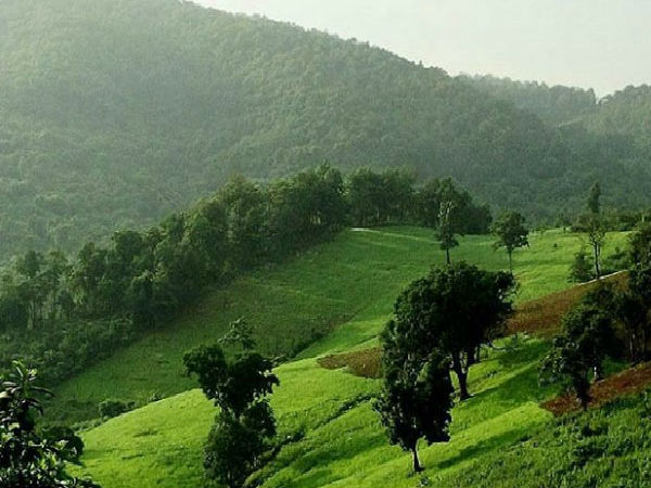 ഡെയുലി