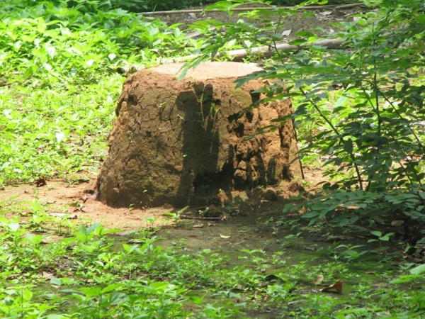 ക്ഷേത്രമില്ലാത്ത കുന്നത്തൂര് പാടി