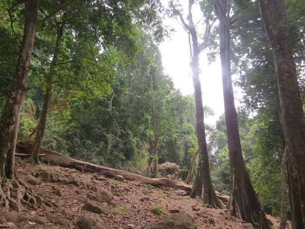 അഞ്ച് ലക്ഷം ആളുകള്
