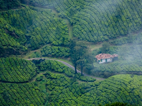 മൂന്നാര