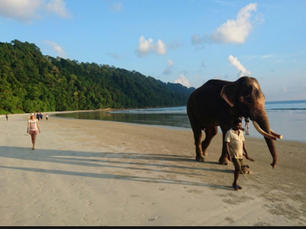 എലിഫന്റെ് ബീച്ച്