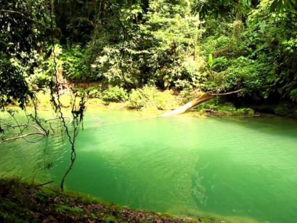 പ്രകൃതിദത്ത അക്വേറിയം
