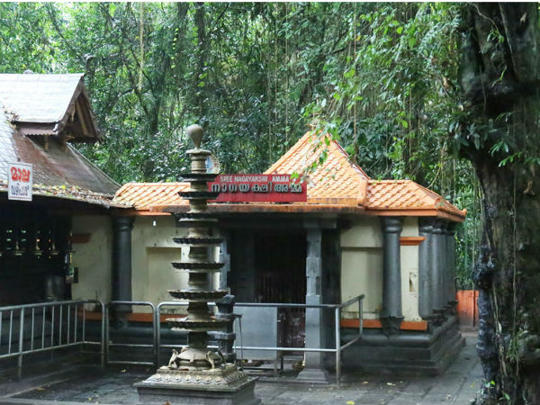 സര്പ്പദോഷം അകലാന്