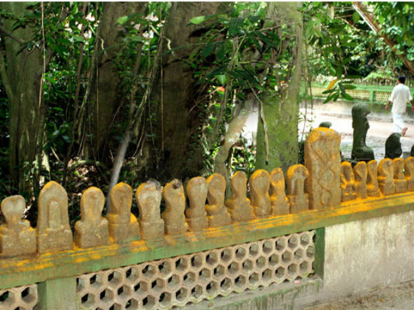 നൂറും പാലും