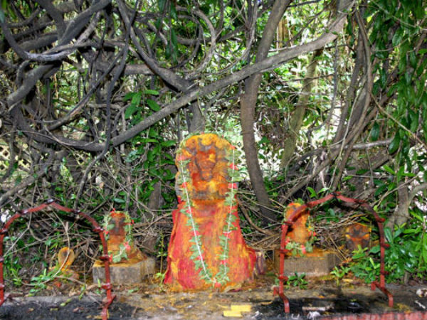 മുപ്പതിനായിരത്തിലധികം നാഗപ്രതിമകള്