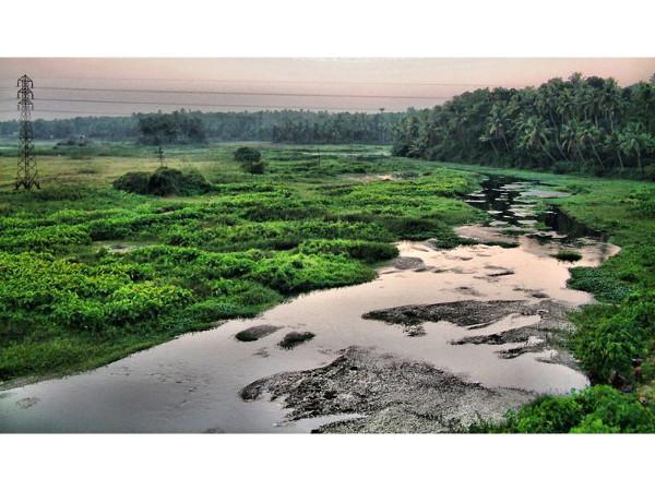 അങ്കമാലി
