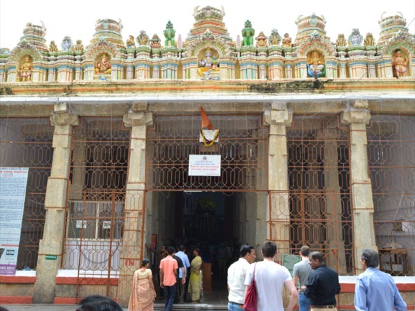 ആദ്യ ഫലം കാളയ്ക്ക്