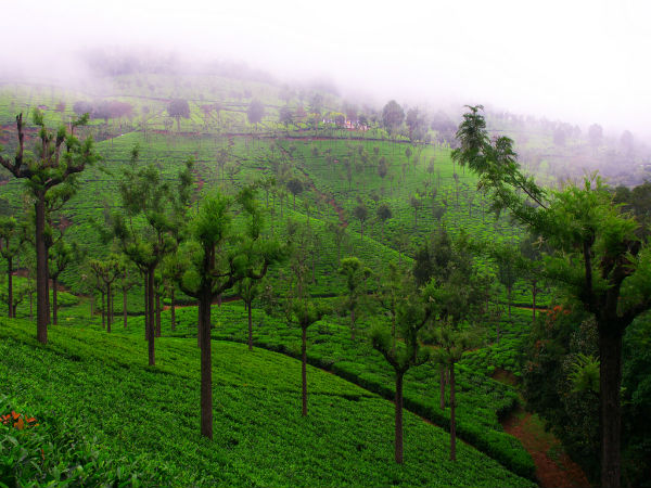മൈസൂരില് നിന്നും കൂനൂരിലേക്ക